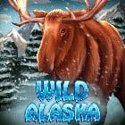 Wild Alaska thumbnail
